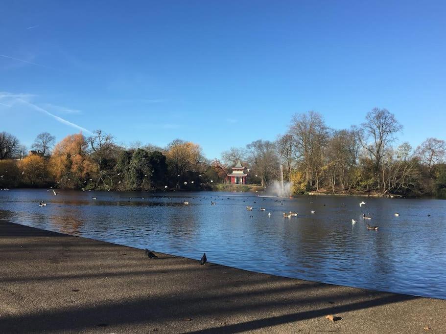 Victoria Park 1 Bedroom Flat Appartement *