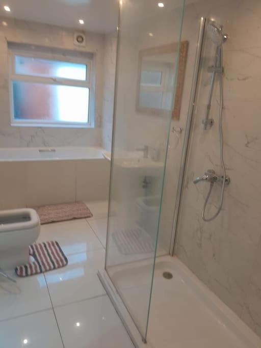 The W3 Flat Londres