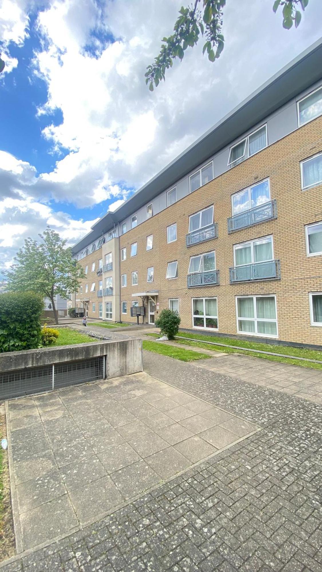 On The Friendly Flat *