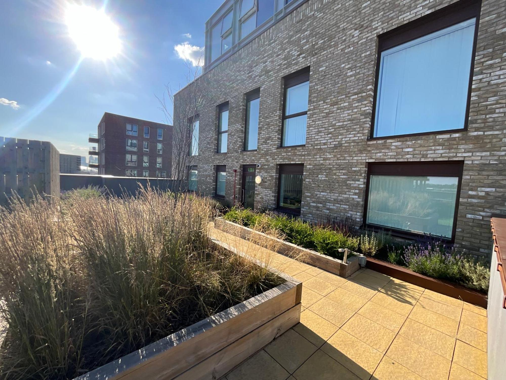 1br Gem In Shared Near O2 Arena & Excel With Patio, Private Bath, Free Parking & Garden Apartment *
