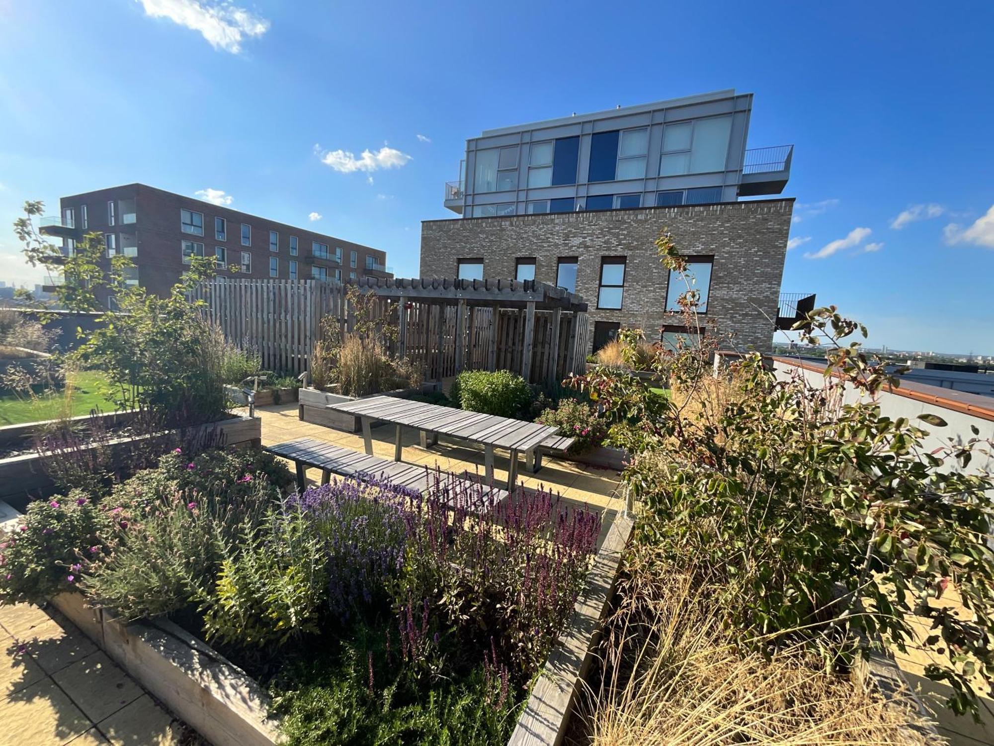 Apartment 1br Gem In Shared Near O2 Arena & Excel With Patio, Private Bath, Free Parking & Garden