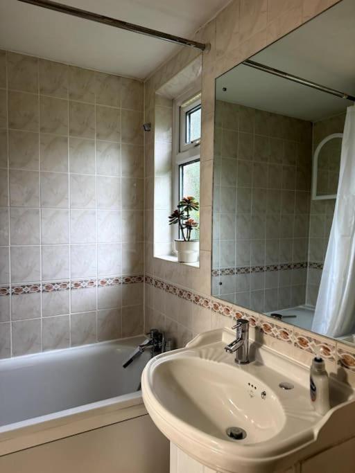 Charming Garden Hideaway! London