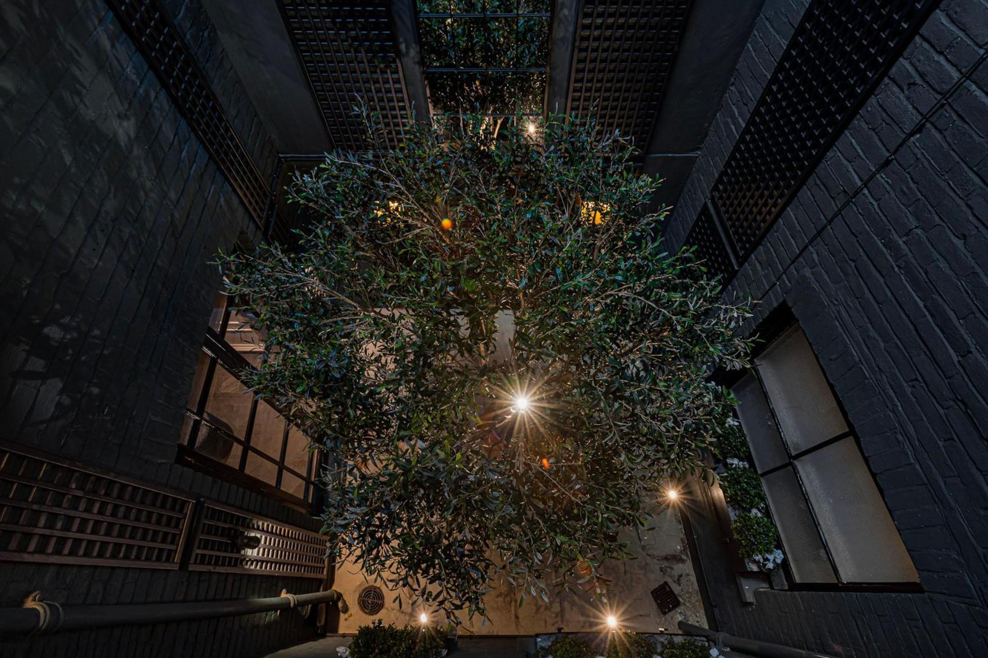 37 Cadogan Place Exquisite Maisonette Сasa de vacaciones Londres
