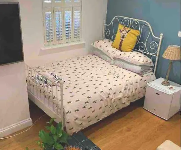 Stylish Modern Studio, Mock Georgian House, Heart Of Trendy Hackney & London
