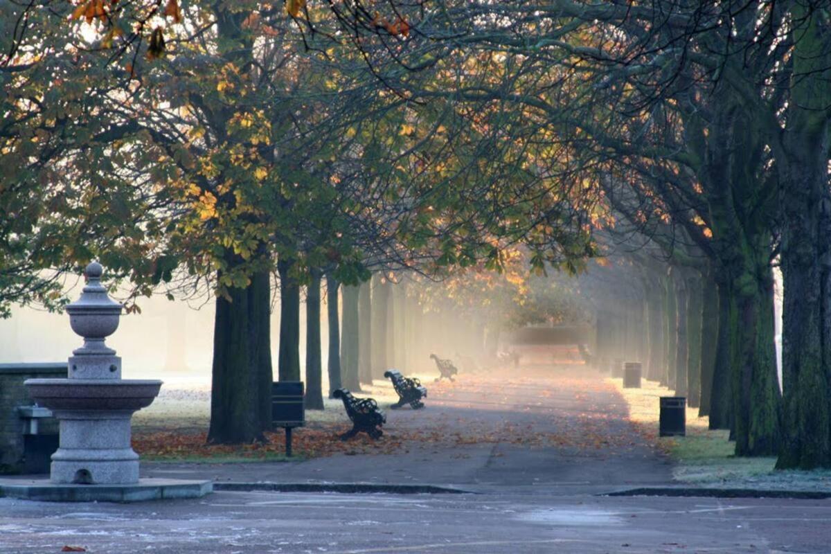 Apartamento Elegant & Spacious Parkside 2-bedroom 2-bathroom Flat In Period Building On Blackheath Common - Private Entrance, Great Greenwich Location, Easy For O2 Arena And City! Londres