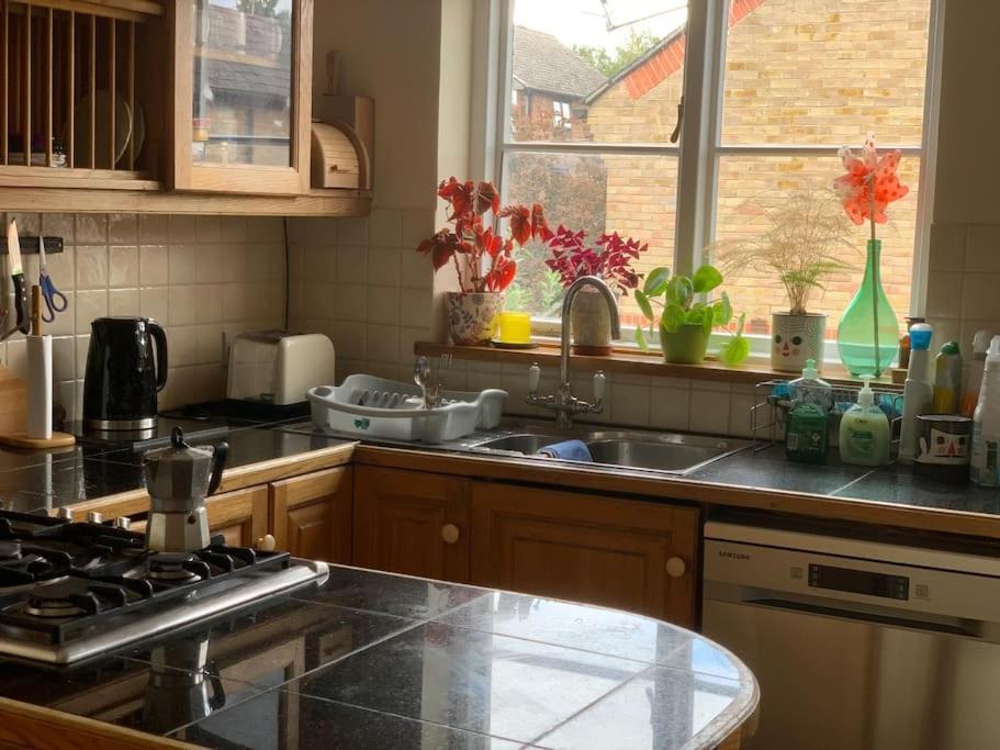 Cb53 Tower Bridge Townhouse 2 Bathrooms & Free Parking Londen