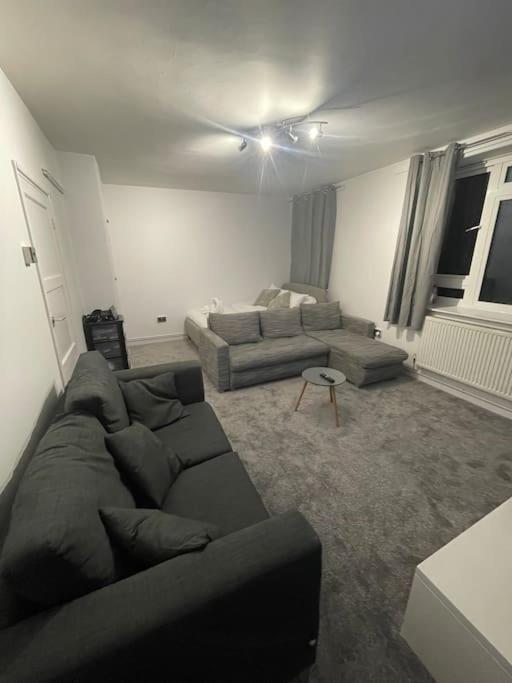 Lovely Spacious Studio Apartment, Separate Kitchen Londen