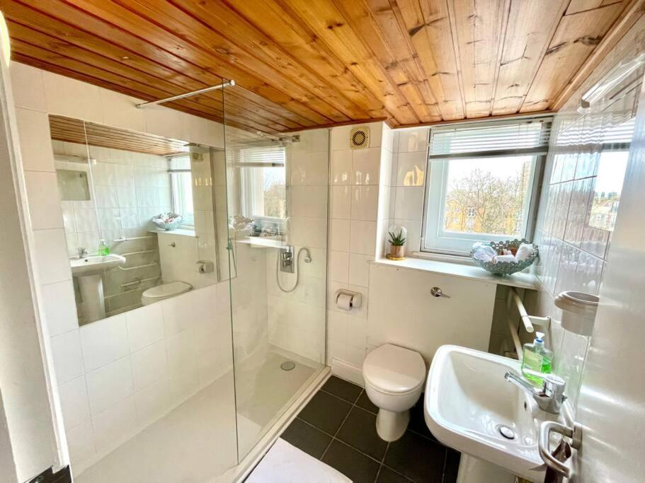 High-ceiling Flat With Rooftop & Skyline View Apartment London