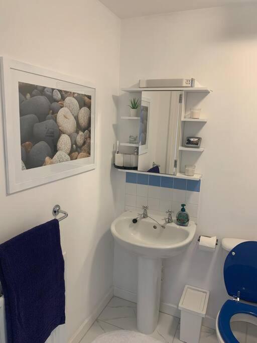 Appartement Flat In Hackney