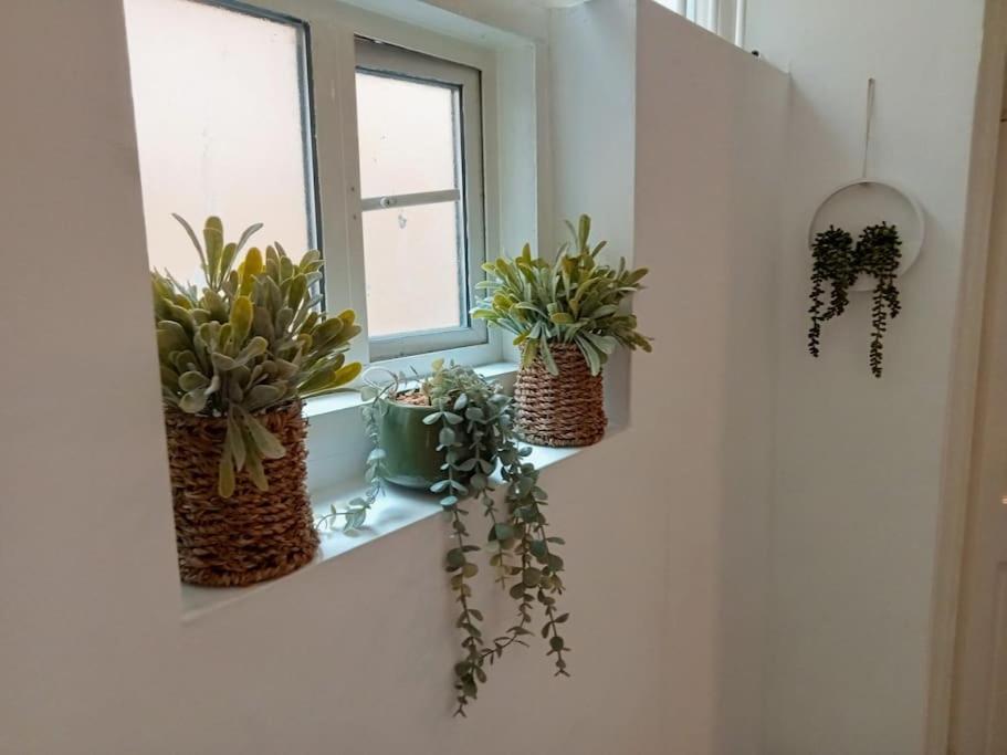 Apartamento Cosy Flat In Whitechapel, *