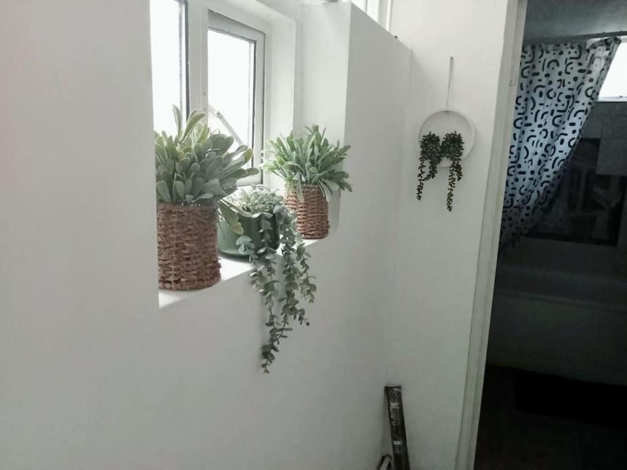 Cosy Flat In Whitechapel, Apartamento Londres