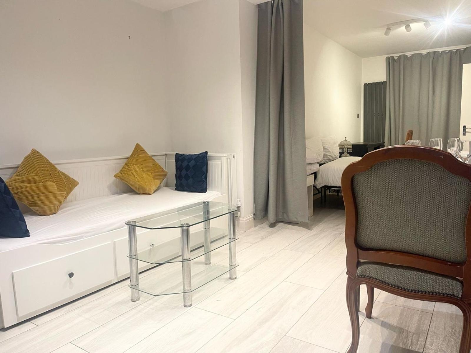 Large Studio With Extra Sofa Bed And Private Bath Plus Kitchen Canary Wharf 1 Appartement