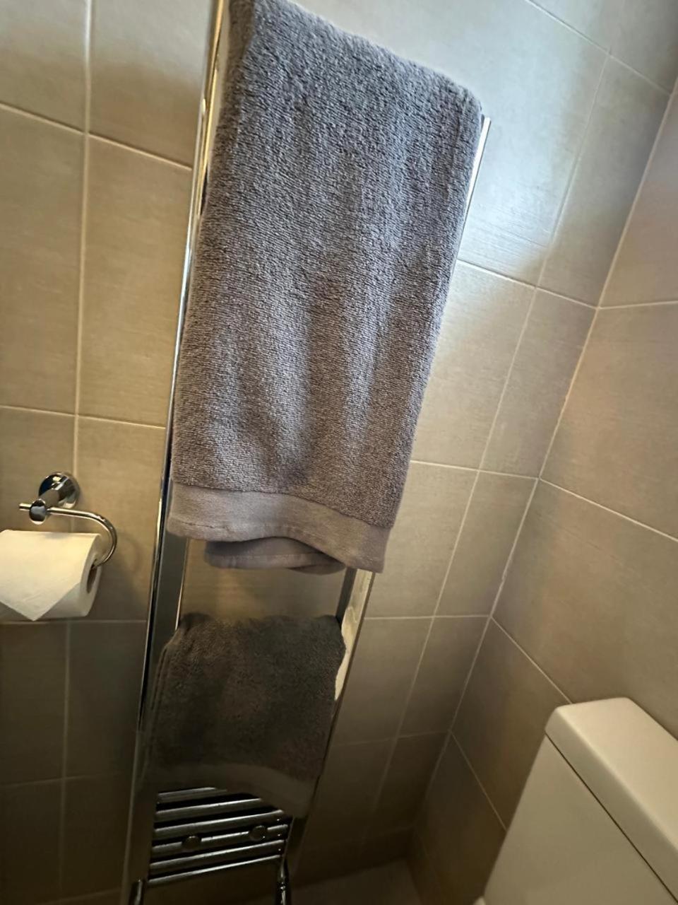 Large Studio With Extra Sofa Bed And Private Bath Plus Kitchen Canary Wharf 1 Londen