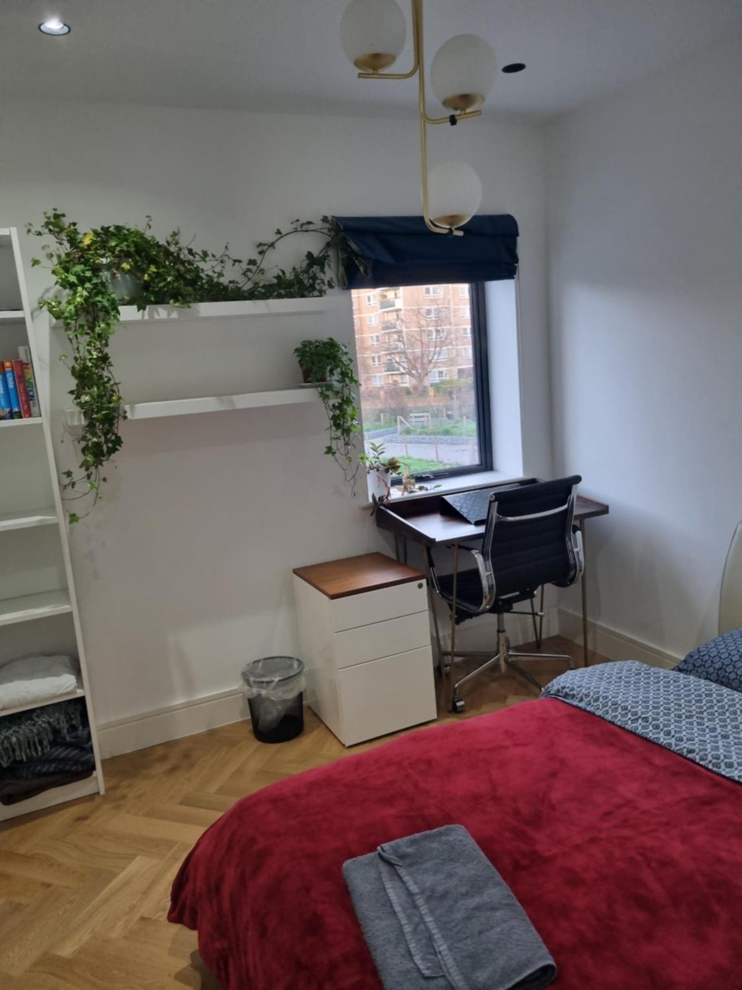 Bright Spacious In The Park Homestay