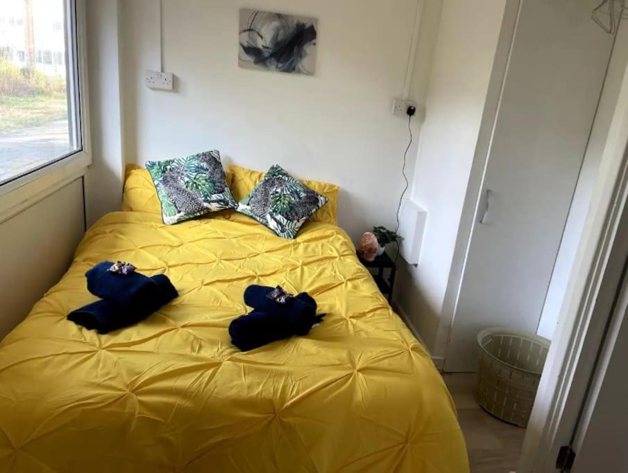 Spacious 2 Bedroom In Hoxton Apartment London