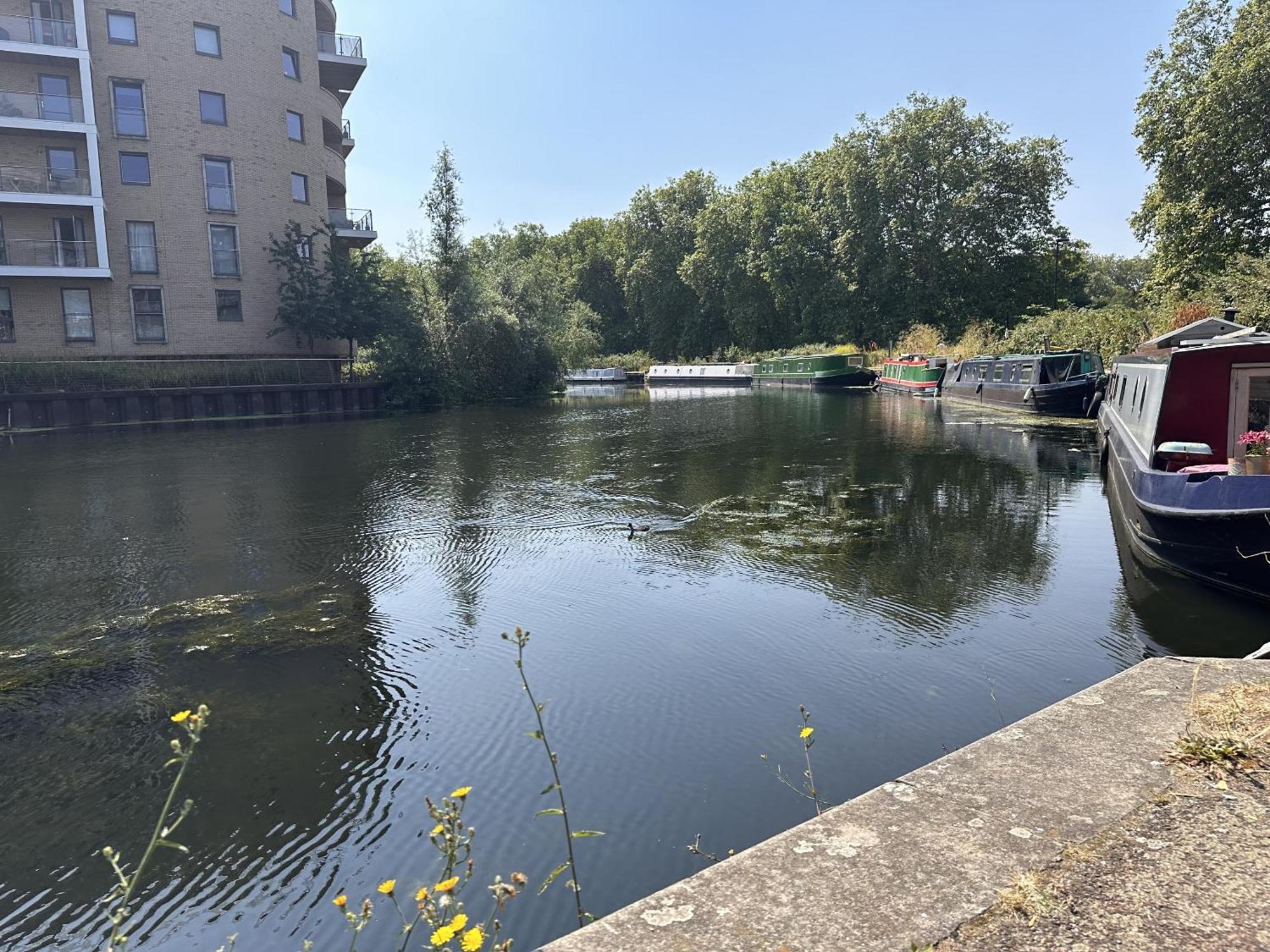 Fenland Hackney