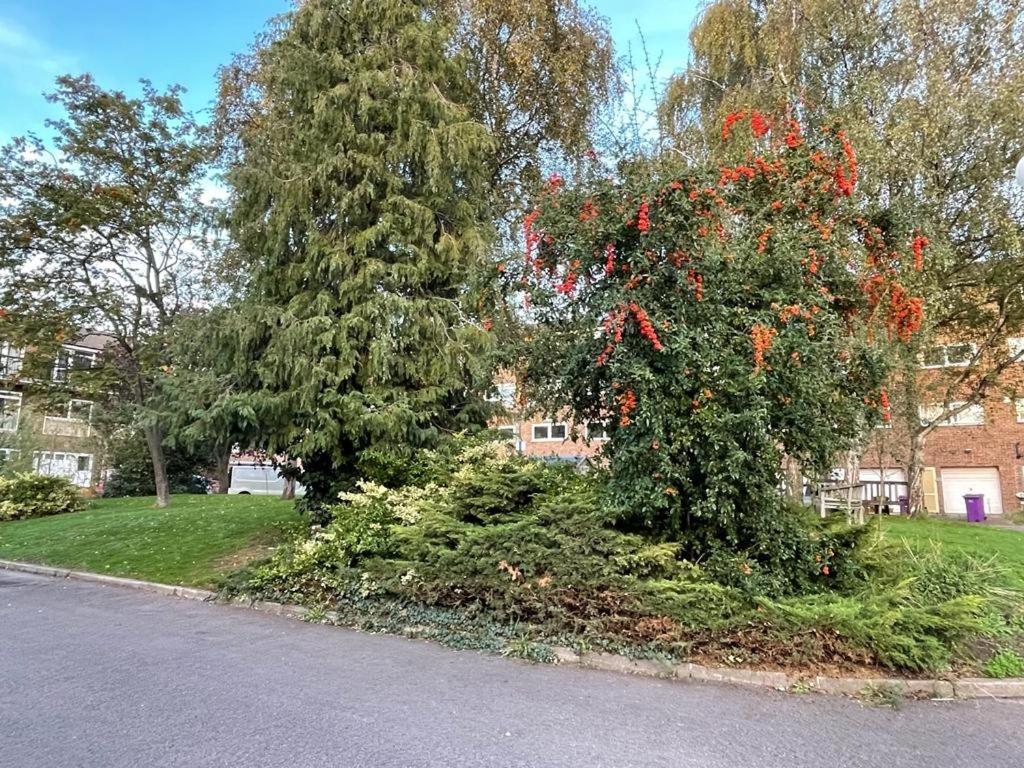 Cosy Bedroom With Private Bathroom Ensuite In Canary Wharf E14 Only 1 Stop To Excel And O2 For Short Or Long Let In Canary Wharf, Less Than An Hour From Heathrow, Stansted And Gatwick Airport Maison d'hôtes Londres