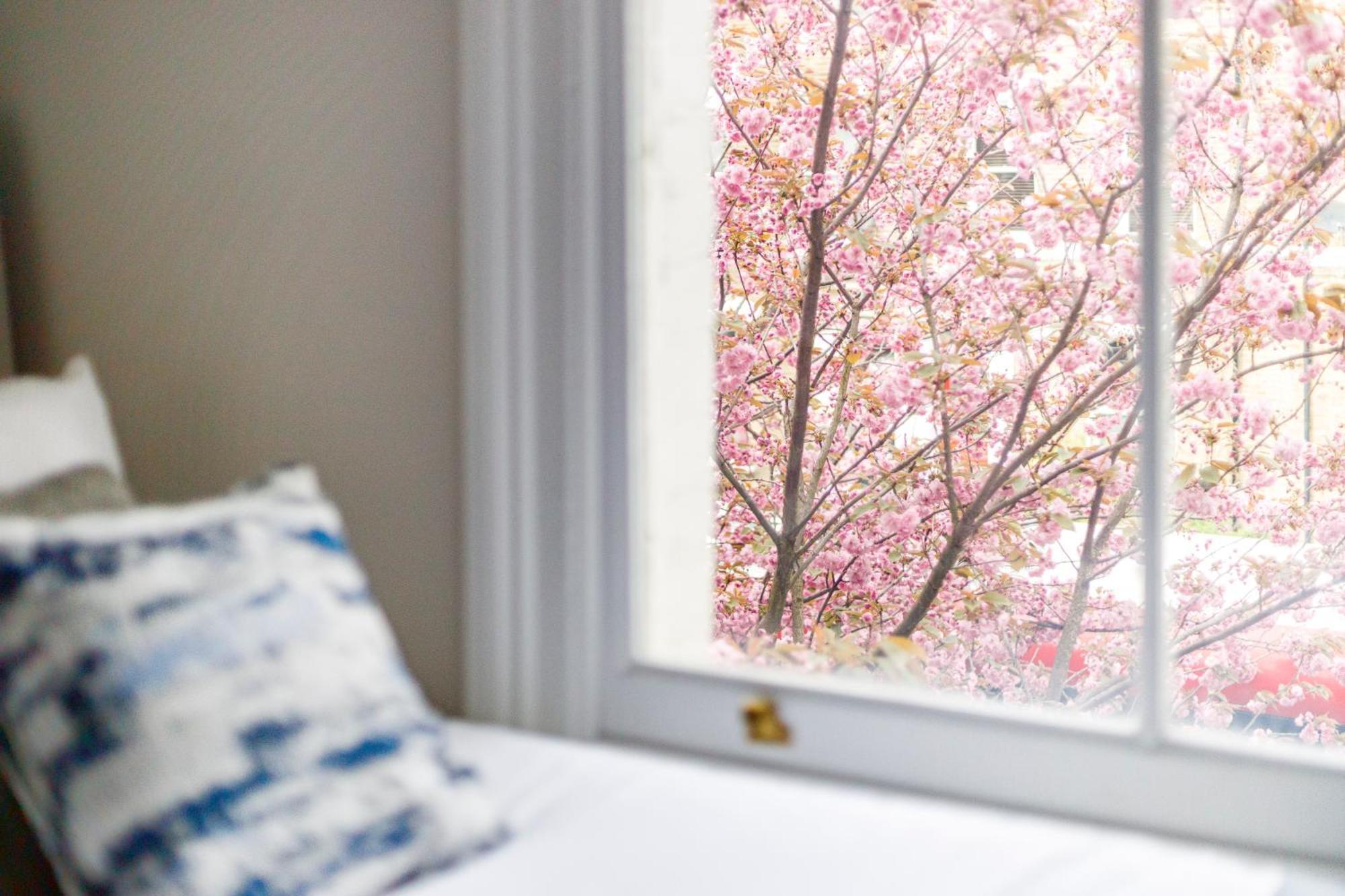 Apartamento Cityscape Oasis Chic For Urban Dwellers