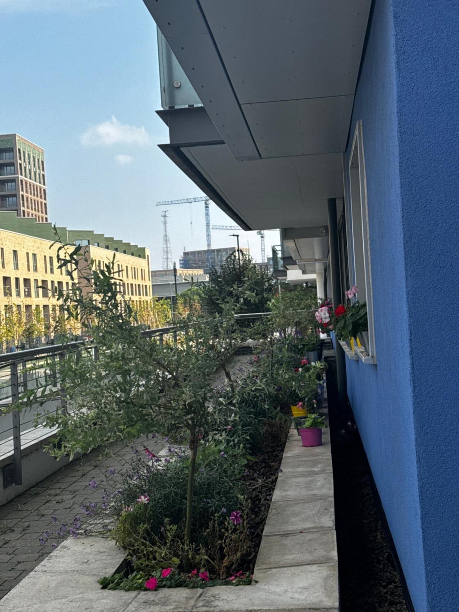 Luxury Entire 1 Bed Flat, Excel, Airport, Custom House *