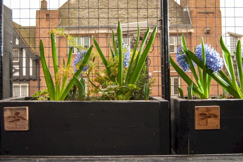 The Dictionary Hostel, Shoreditch, Hostal Londres