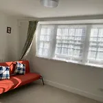 Penguin Flat