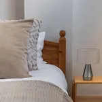 Cosy Apartment Near The London Eye