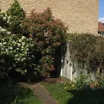 Mexican Blossom