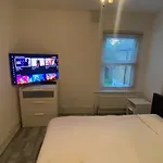 Snug Kingsize Bedroom Flat In London