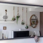 The Ravenscourt Park Collection