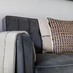 The Camden Road Collection