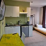 Spacious Studio In London
