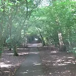 The Hidden Cottage