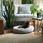 Dawn And Dudley The Sausage Dog\'S Parkside Home