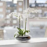 Cozy Studio In Central London, Paddington Station