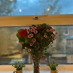 Apartamento Con Ambiente 100% Familiar En Zona Tranquila De Londres