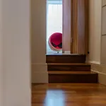 The \