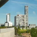 New Manhattan Loft Gardens Stratford