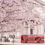 Cosy Flat In Central London