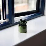 The Dalston Apartment
