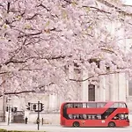 Comfy Flat In Heart Of London