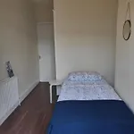 The Single Cosy Lane