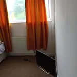Rex Gaf