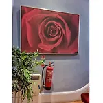 F301-Awesome 3Rd Flr Studio Fits 1 Near Hyde Park