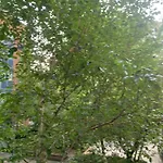 Donnington Court
