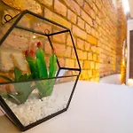 Stylish Modern Apartments In London Nw6