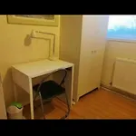 Nice Shared Flat