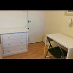 Nice Shared Flat