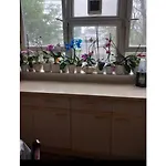 Room In Central London