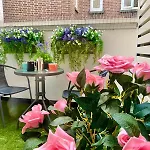 Westminster 1 Bed Apt With Terrace