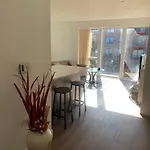 Luxury Riverside Apartment